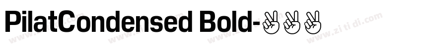 PilatCondensed Bold字体转换